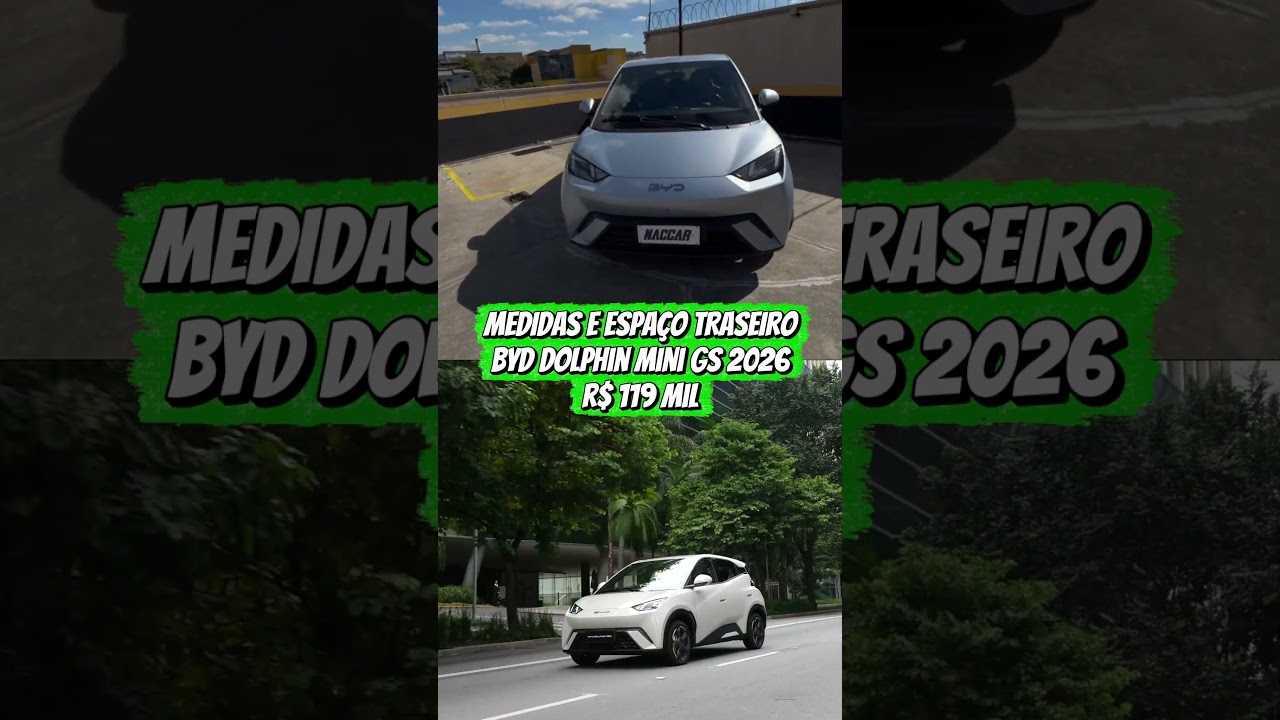 O ESPAÇO TRASEIRO DO DOLPHIN MINI! 👀🔋