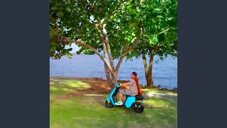 Cover art for Turista