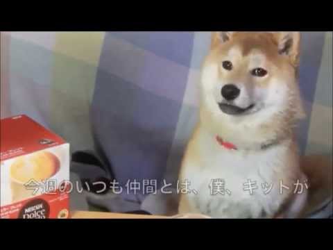 Ode to Micaela Featuring Emotional Titanic Flute Music