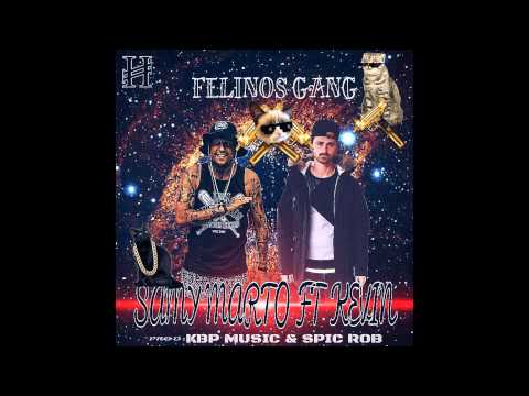 Samy Marto & Kevin - Hablando Fake (Prod. KBP MUSIC & ROB) [FELINO$ GVNG]