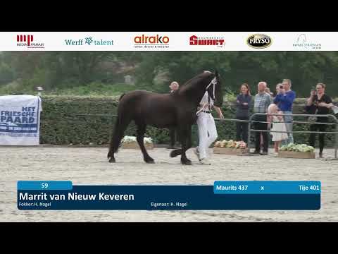 Fokdag | Fokvereniging Noord-Zuid Holland | 26 Juli 2025