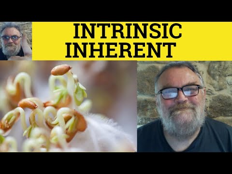 🔵 Inherent Meaning - Intrinsic Defined - Intrinsic vs Inherent - Inherent or Intrinsic Difference