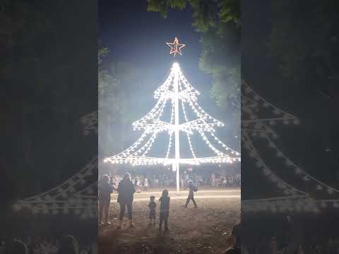 Encendido Árbol de Navidad, Bv Maiorano -Arroyo Seco
