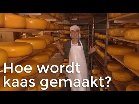, title : 'Hoe wordt kaas gemaakt? | Het Klokhuis'