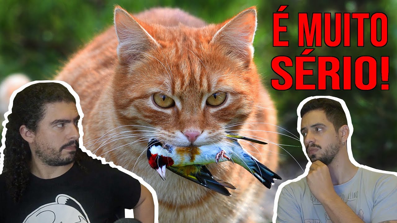 O problema dos GATOS (feat. Hugo Fernandes) (#Pirula 378)