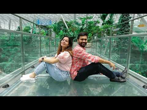 Hedge Maze @ Changi Airport