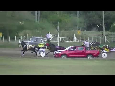 TROTE ARGENTINO 14 04 2021