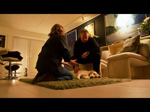 Vca Euthanasia Cost Cat
