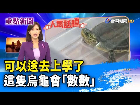 烏龜代表數字