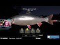 Фото Трофейный голец арктический на оз. Куори  Russian Fishing 4 Русская рыбалка 4 RF4 РР4