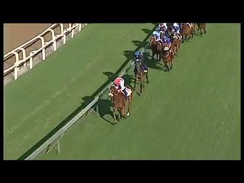 2019.06.01 Woolavington 2000 (RSA) - Silvano's Pride