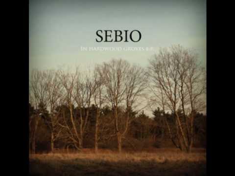 Sebio-Tread