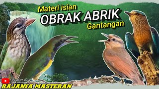 Download lagu MASTERAN TEMBAKAN KASAR Untuk Murai Batu ,Cucak ijo ,Kacer❗ISIAN MEWAH SIAP OBRAK ABRIK GANTANGAN mp3 Download lagu MASTERAN TEMBAKAN KASAR Untuk Murai Batu ,Cucak ijo ,Kacer❗ISIAN MEWAH SIAP OBRAK ABRIK GANTANGAN mp3