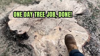 One Day Tree Job! Cleaned Up and Finished👍🏻