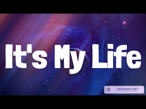 It's My Life Bon Jovi,Love The Way You Lie Eminem,See You Again (feat. Charlie Puth) Wiz Khalifa