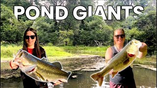 Fishing for MONSTER Bass (Grinding for Giants Ep.1)