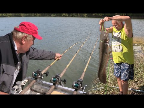 Pecanje soma, šarana i bele ribe na reci Tisi u Vojvodini kod Titela - Dubinsko pecanje