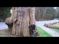 The Abrams Brothers: Vlog from Vancouver