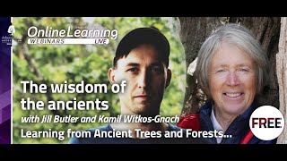 The Wisdom of the Ancients