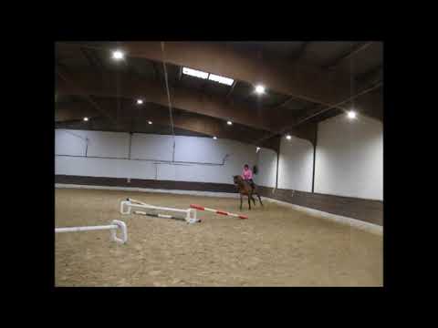 CENDOR 5j. Hann. v. Comte - Loredo for sale