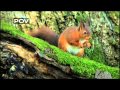POV Shorts Trailer POV PBS