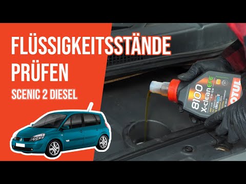 Die Flüssigkeitsstände prüfen Scenic 2 1.9 dCi 📏