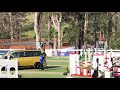 Australian Jumping Teams League Willinga Park