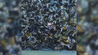 Cover art for Everywhere An Empty Bliss