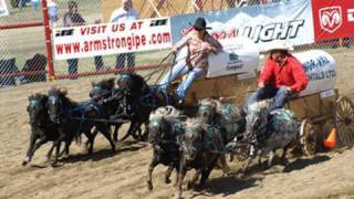 preview picture of video 'Chuck Wagon Race - Miniatures! * 2009 Armstrong IPE'