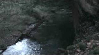 Auction Clearfield PA 400 Acres Auction