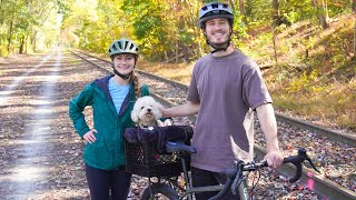 Building a Bicycle Dog Carrier!