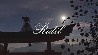 Cover art for Touhou: "A shallow dream, not drunk"