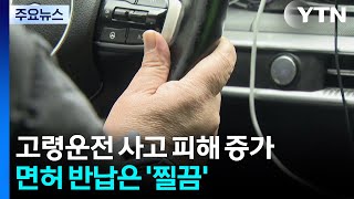 고령운전 사고 피해 느는데...면허 반납은 '찔끔' / YTN
