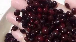 Download lagu Jarang orang tau resep jadul peninggalan leluhur 'Sayur Gude' /kacang Gude🫰👍🧑‍🍳🙏 mp3