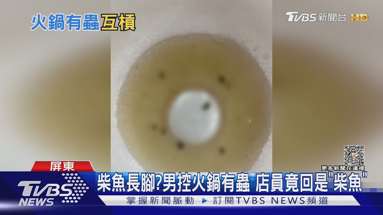 柴魚長腳?客控火鍋湯有蟲 店家駁:湯頭沒問題