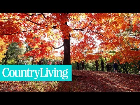 7 Places To The BestSee Fall Foliage In New England | Country Living