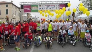 preview picture of video 'Maratonina dei Dogi 2015, Partenza-arrivo a Mira'