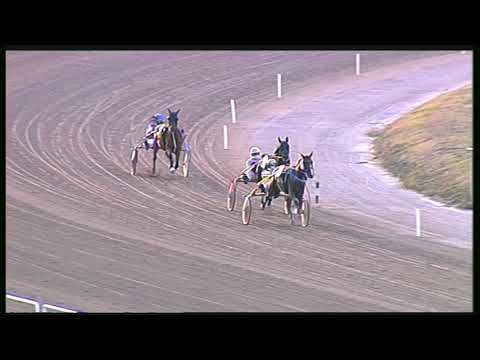 Trotto 18/09/2020 - 2ª prova di qualifica