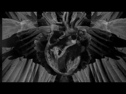Mujuice -  Swan Path (Metamorphosis 2014)