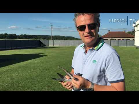 Ariën-De Keyser (Tielt-Winge): 1st Nat. Limoges 15,565 old birds 2021