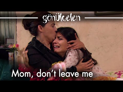 I never wanted to leave you - Episode 50 | Becoming a Lady