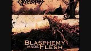 Defenestration by Cryptopsy