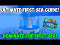 The ULTIMATE First Sea Guide In Blox Fruits! How To DOMINATE The First Sea In Blox Fruits!
