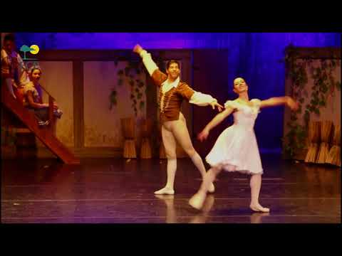 FUNDACIÓN CULTURAL PATAGONIA 2017