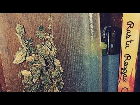 DAN & NOC SPEED RMX (RASTA X LINK)