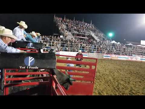 37 Stealth Mode 9-1-19  Jerome Davis Touring Pro