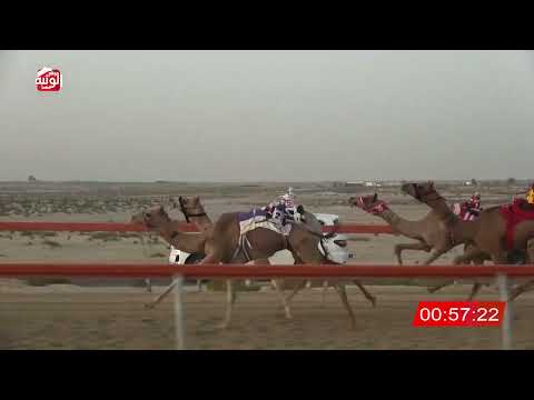 ش 10 (شاهين) لـ محمد سلطان بن خالص العامري 2:18 ، شارة الصندوق 2026/07/19 فطامين السمحه 