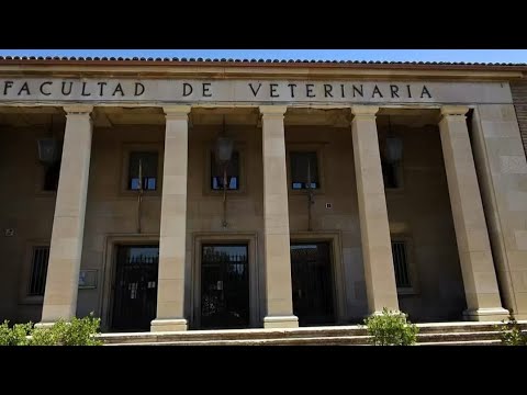 University of Zaragoza, Campus Miguel Servet, Zaragoza, Spain (Full Version)