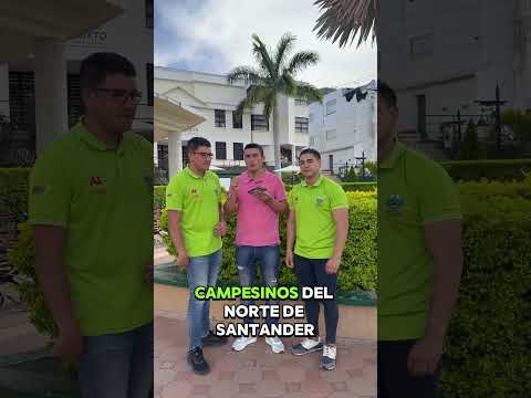 San calixto tierra de cuna cafetera