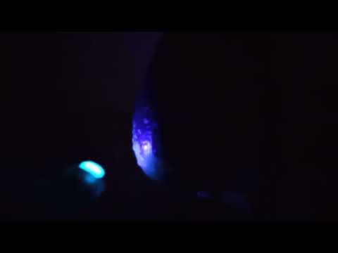 Jurassic universe cinematic chapter 1(indoraptor vs tameryraptor vs scorpios rex vs d rex vs invict